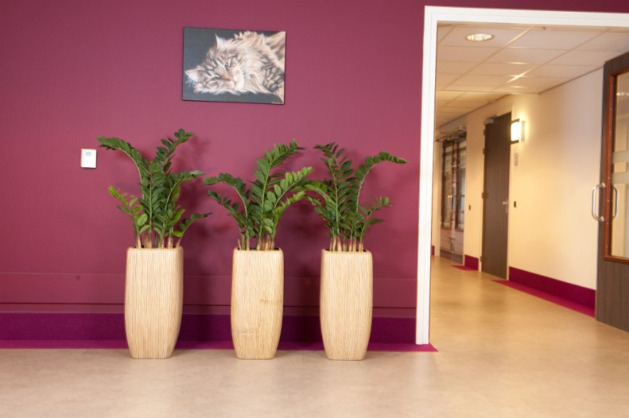 Mekelenkamp kunstplantenwinkel.nl project buitensluit (20 van 25)